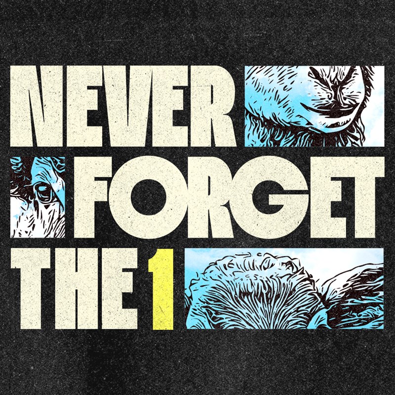 Message Series: Never Forget The 1